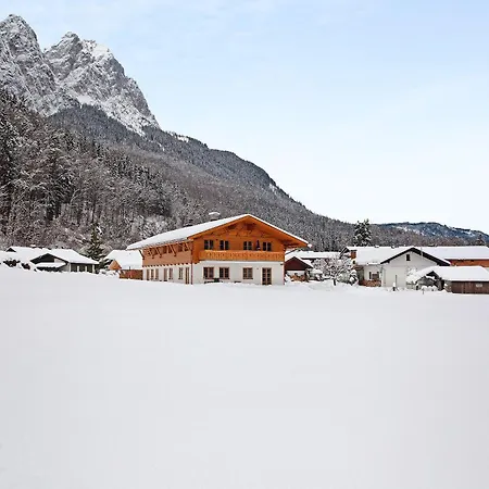 Alpenveilchen *