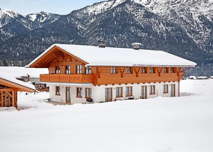 Alpenveilchen