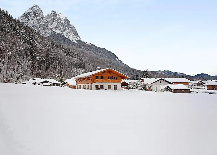 Alpenveilchen *